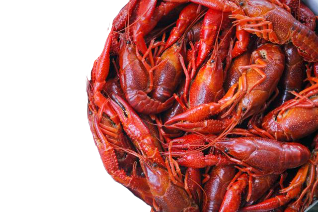 CRAWFISH WHOLE 2.27KG