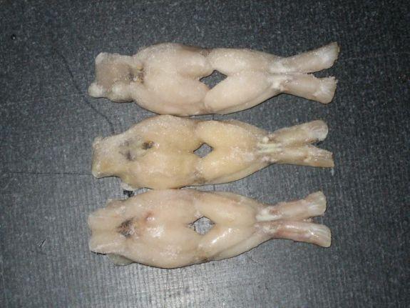 FROG LEGS 908g