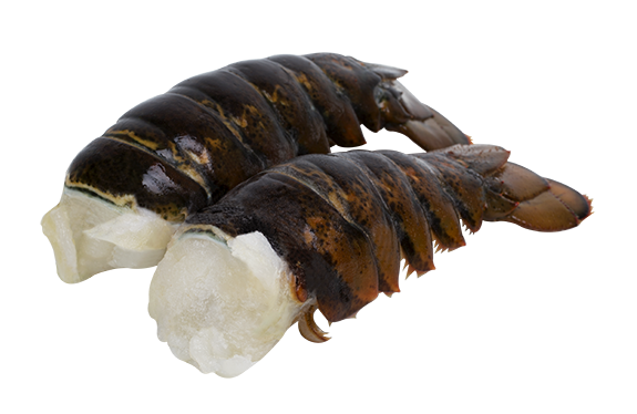 LOBSTER TAILS 5-6oz BY THE CASE 10 LB