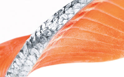 SALMON ORA KING 7.5oz CASE 21pc FROZEN