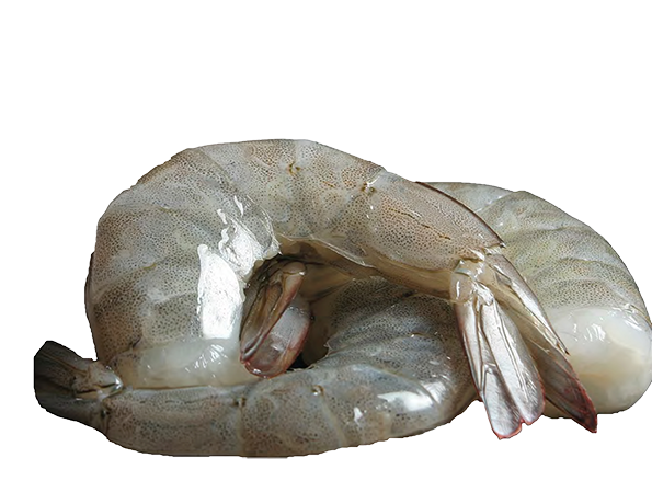 SHRIMP SHELL-ON EASY PEEL 26-30 WT* 454g