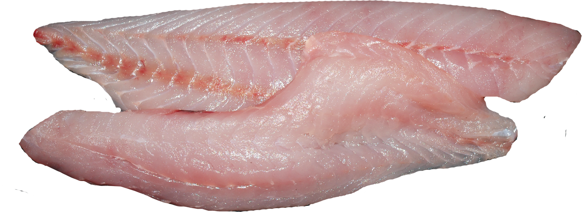 PACIFIC SNAPPER / ROCKFISH FILLET BONED by LB