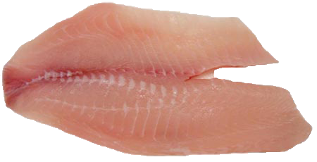 TILAPIA FILLETS by LB