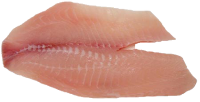 TILAPIA FILLETS by LB